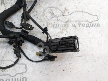 Проводка моторная MERCEDES-BENZ C-класс W205/S205/C205/A205 (2014 - 2018) — Разборка Мерседес