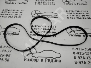 Ремень приводной MERCEDES-BENZ C-класс W203/S203/CL203 (2000 - 2004) — Разборка Мерседес