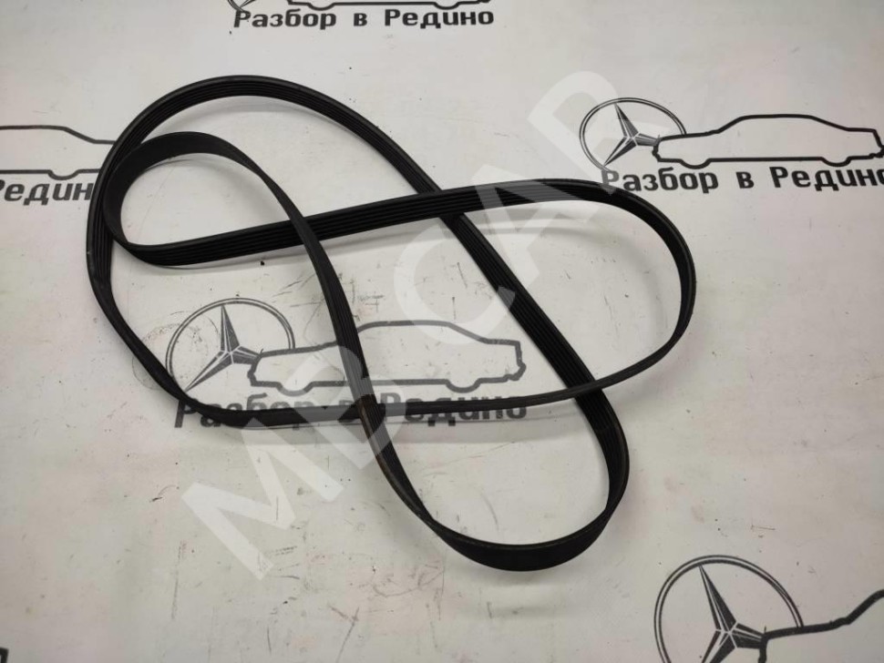 Ремень приводной MERCEDES-BENZ S-класс W220 (1998 - 2005) фото 1 — Разборка Мерседес