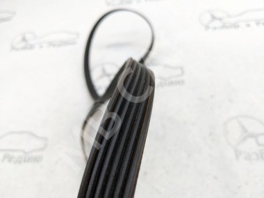 Ремень приводной MERCEDES-BENZ S-класс W220 (1998 - 2005) — Разборка Мерседес