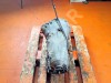 АКПП 5G-Tronic MERCEDES-BENZ C-класс W203/S203/CL203 (2000 - 2004) фото 6 &mdash; Разборка Мерседес
