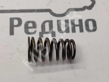 Пружина клапана ГРМ MERCEDES-BENZ M-класс W163 рестайлинг (2001 - 2005) — Разборка Мерседес