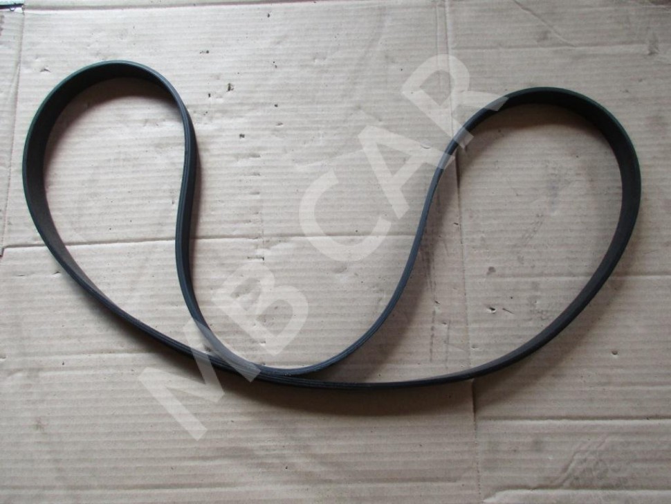 Ремень приводной MERCEDES-BENZ C-класс W203/S203/CL203 рестайлинг (2004 - 2008) фото 1 &mdash; Разборка Мерседес