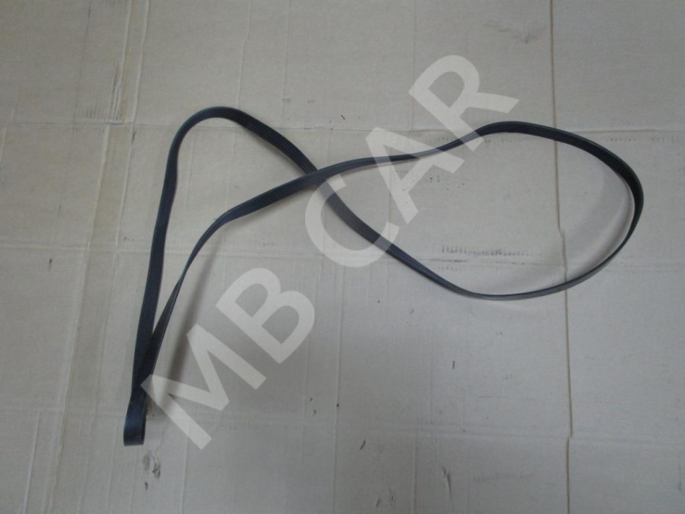 Ремень приводной MERCEDES-BENZ M-класс W163 рестайлинг (2001 - 2005) фото 1 — Разборка Мерседес