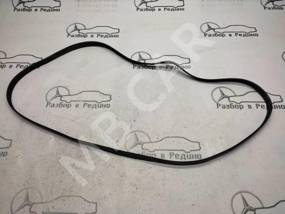 Ремень приводной MERCEDES-BENZ C-класс W203/S203/CL203 (2000 - 2004) фото 1 — Разборка Мерседес