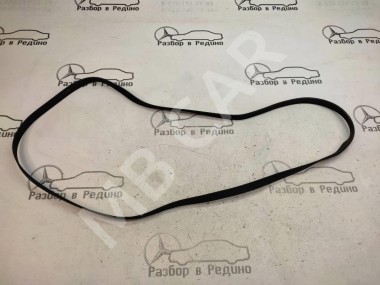 Ремень приводной MERCEDES-BENZ C-класс W203/S203/CL203 (2000 - 2004) — Разборка Мерседес