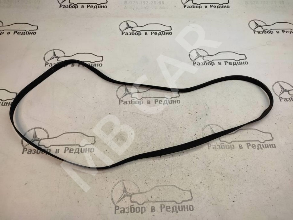 Ремень приводной MERCEDES-BENZ C-класс W203/S203/CL203 (2000 - 2004) фото 1 — Разборка Мерседес