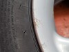 Колеса 17 MERCEDES-BENZ M-класс W163 (1997 - 2001) ML 230 2.3 4MATIC MT (150 л.с.) фото 14 &mdash; Разборка Мерседес