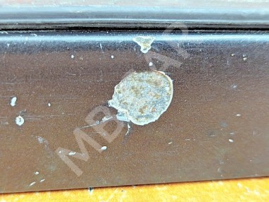 Ресницы фар MERCEDES-BENZ E-класс W124/S124/C124/A124 (1984 - 1997) — Разборка Мерседес