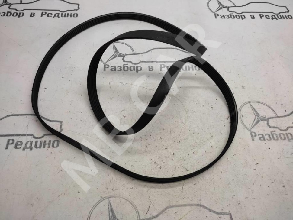 Ремень приводной MERCEDES-BENZ C-класс W203/S203/CL203 (2000 - 2004) фото 1 — Разборка Мерседес