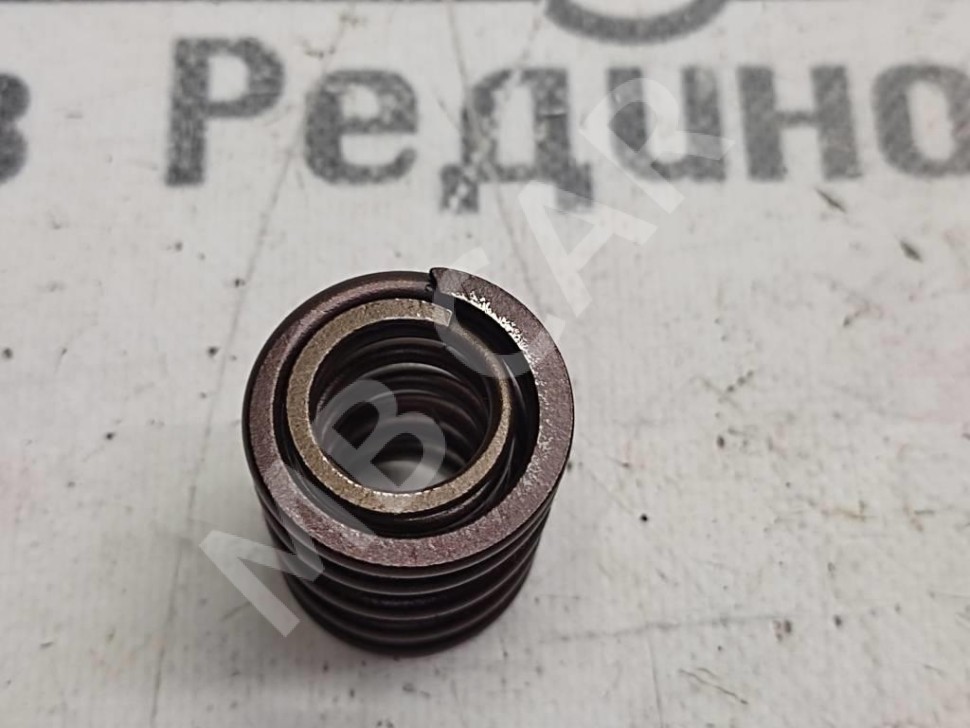 Пружина клапана ГРМ MERCEDES-BENZ S-класс W221 (2005 - 2009) фото 1 — Разборка Мерседес