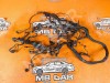 Проводка моторная MERCEDES-BENZ M-класс W164 рестайлинг (2008 - 2011) фото 1 &mdash; Разборка Мерседес