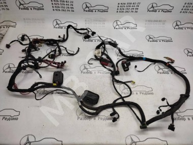 Проводка подкапотная MERCEDES-BENZ R-класс W251 (2005 - 2007) — Разборка Мерседес