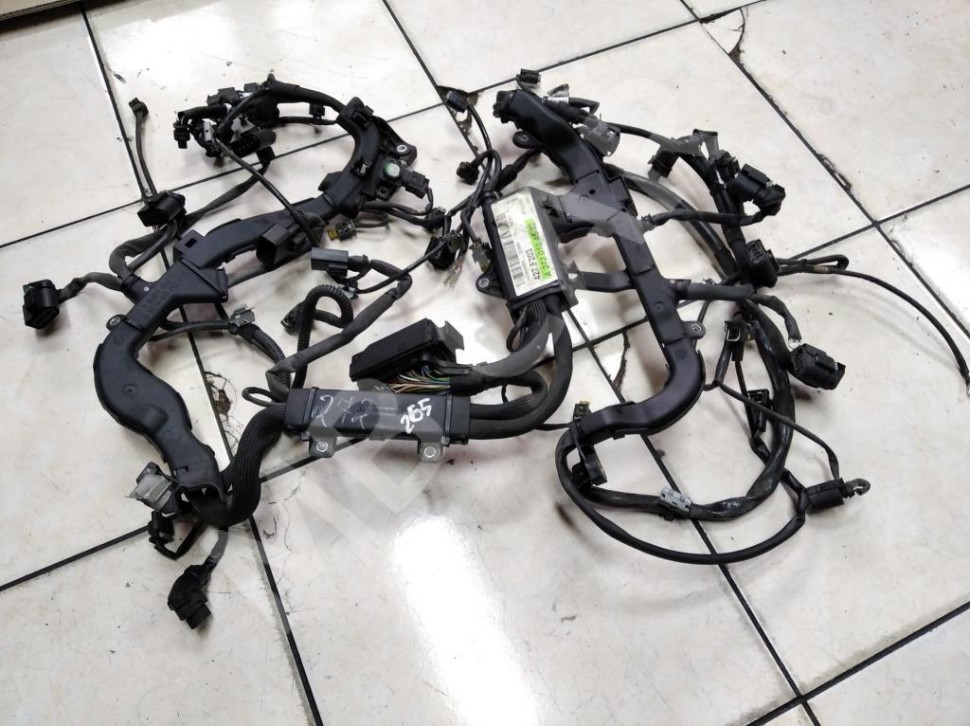 Проводка моторная MERCEDES-BENZ C-класс W203/S203/CL203 (2000 - 2004) фото 1 — Разборка Мерседес