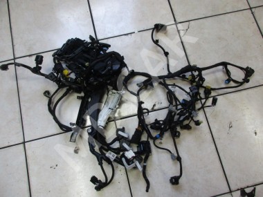 Проводка моторная MERCEDES-BENZ E-класс W213/S213/C238/A238 (2016 - 2021) — Разборка Мерседес