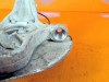 Кулак поворотный передний левый MERCEDES-BENZ M-класс W166 (2011 - 2015) ML 350 3.5 4MATIC 7G-Tronic (306 л.с.) фото 7 &mdash; Разборка Мерседес